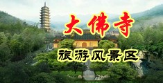 日逼逼短视频中国浙江-新昌大佛寺旅游风景区